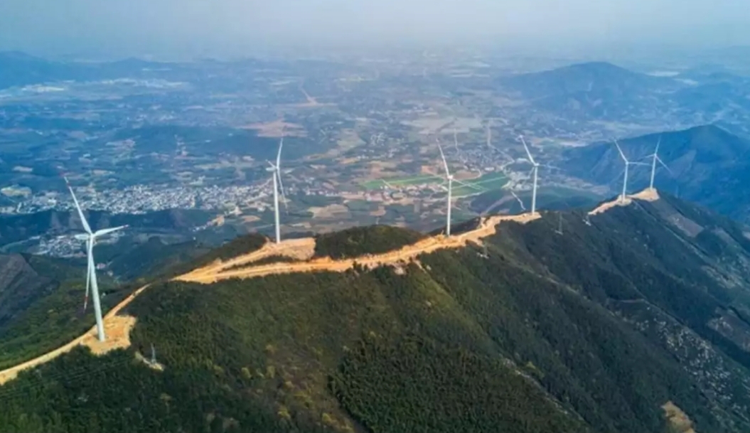 Зелена енергетика чи зелена брехня? Хто і чому нищить Карпати під виглядом євроінтеграції