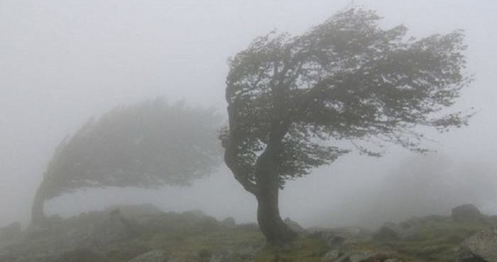 Фото ілюстративне, з мережі інтернет