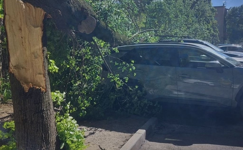 Через штормовий вітер на Закарпатті загинув чоловік (ФОТО)
