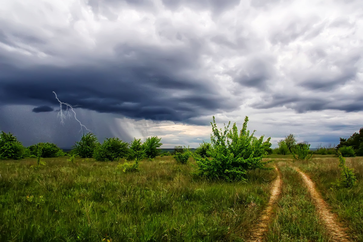 Фото ілюстративне, з мережі інтернет