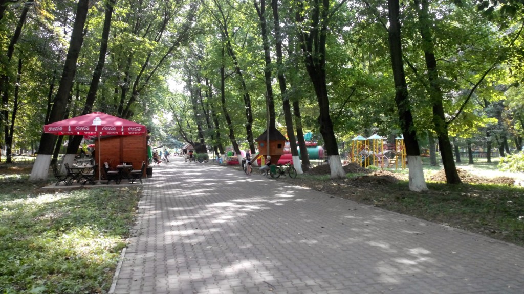 Місце «громадської зони», де депутати ради почали роздавати землю. Поки – в оренду. Фото з архіву автора